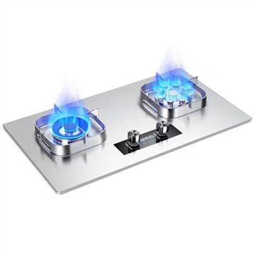 Gas Stove